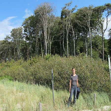“Haus Am Kuestenwald” Ferienwohnungen Graal-Mueritz Zewnętrze zdjęcie