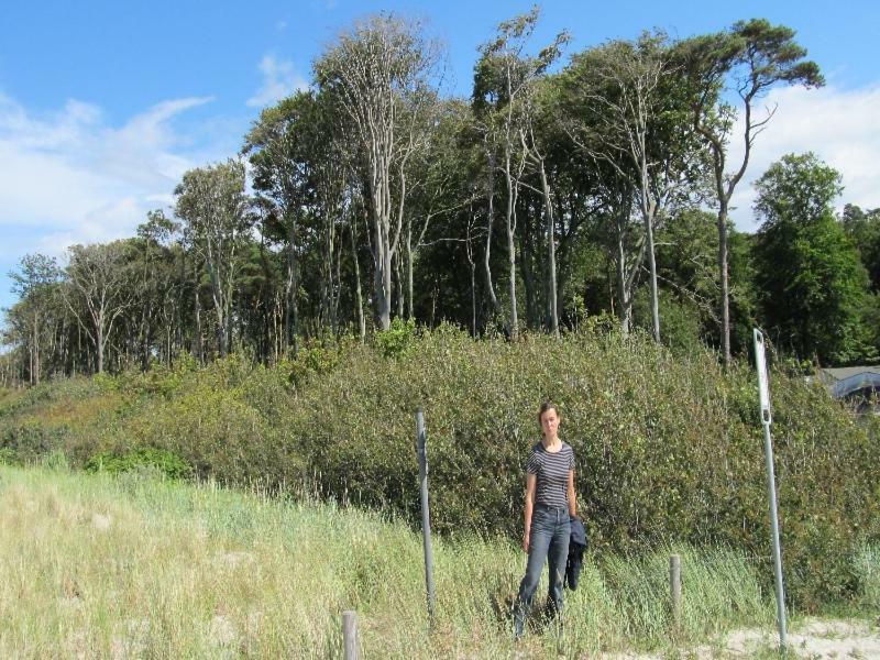 “Haus Am Kuestenwald” Ferienwohnungen Graal-Mueritz Zewnętrze zdjęcie